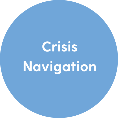 Crisis Navigation
